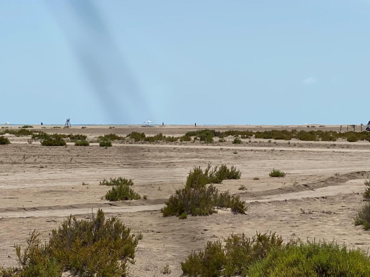 L'Eucaliptus La Calma Del Deltaヴィラ エクステリア 写真